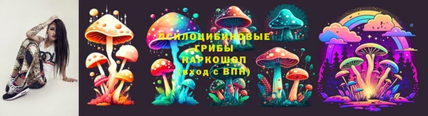 соль ск Абаза
