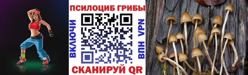Галлюциногенные грибы мухоморы  сайты даркнета Telegram  Черноголовка  KRAKEN зеркало 